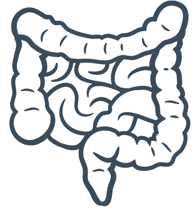 Saúde Intestinal